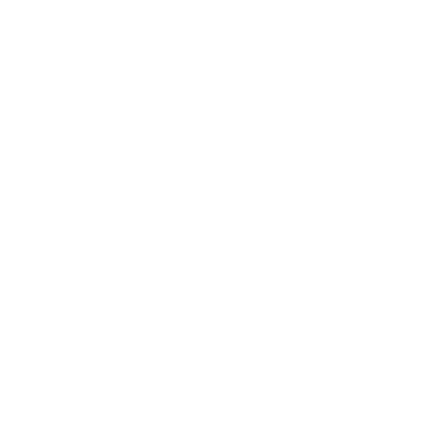 Unser Schachtliner-Verfahren